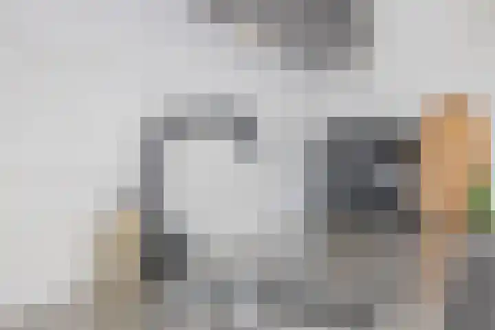 Waterkolk 28 Wierden thumbnail 18