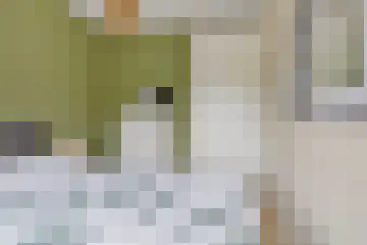 Waterkolk 28 Wierden thumbnail 29