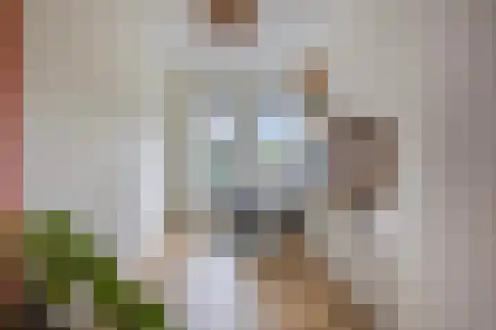Waterkolk 28 Wierden thumbnail 34