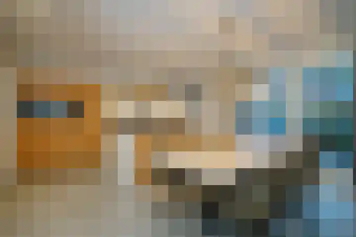 Waterlaat 13 Bakel thumbnail 13