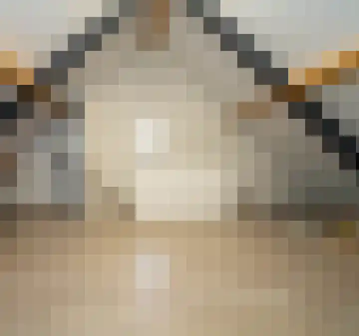Waterlaat 13 Bakel thumbnail 43