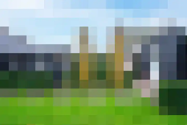 Waterlaat 13 Bakel thumbnail 48