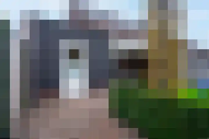 Waterlaat 13 Bakel thumbnail 54