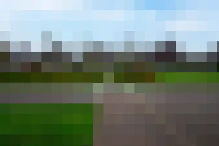 Waterlaat 13 Bakel thumbnail 59