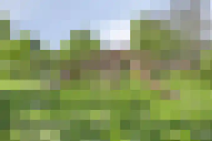 Waterland 16 Ridderkerk thumbnail 27
