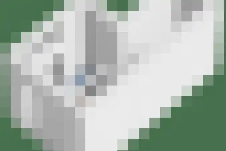 Waterland 16 Ridderkerk thumbnail 31
