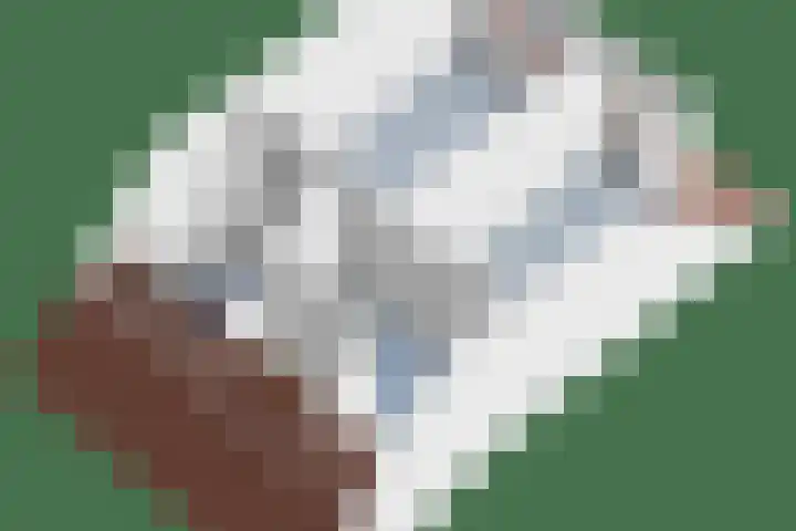 Waterland 16 Ridderkerk thumbnail 33