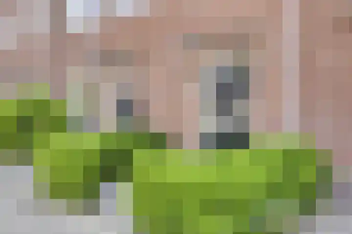 Waterland 16 Ridderkerk thumbnail 7