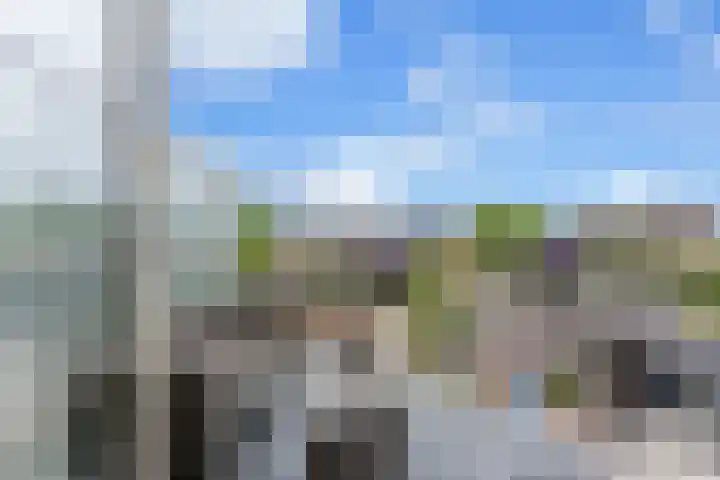 Waterland 19 Ridderkerk thumbnail 5