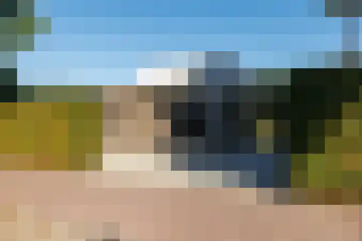 Waterland 36 Lelystad thumbnail 6
