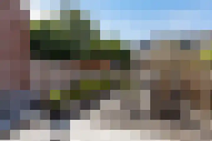 Waterland 41 Ridderkerk foto 3