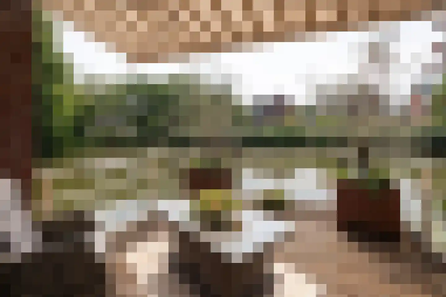 Waterland 57 Ridderkerk thumbnail 5