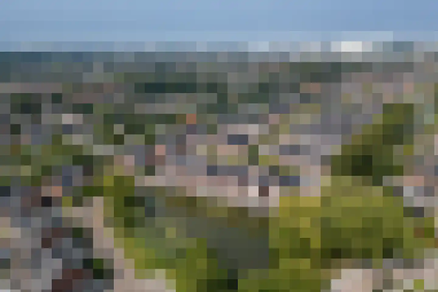 Waterland 57 Ridderkerk thumbnail 7