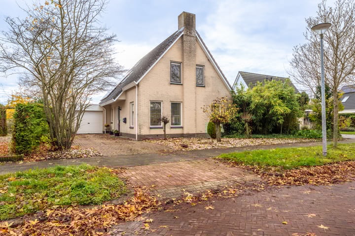 Waterlelie 10 in Scheemda foto