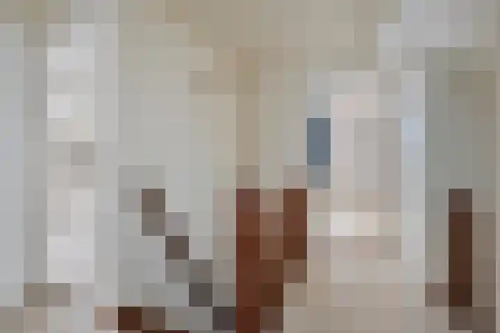 Waterlelie 11 Hardenberg thumbnail 23