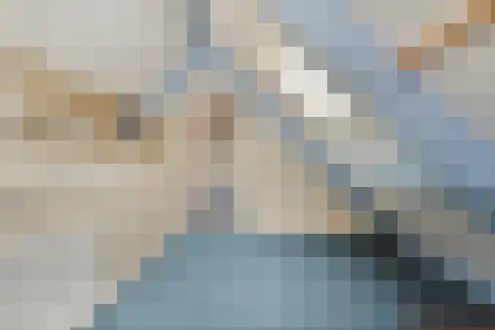 Waterlelie 11 Hardenberg thumbnail 34