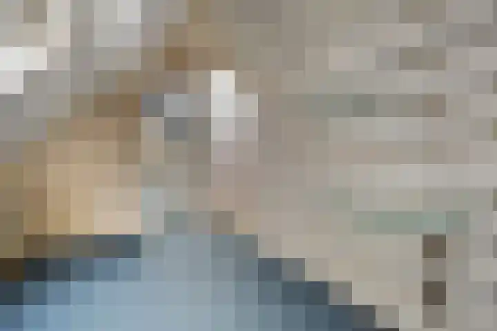 Waterlelie 11 Hardenberg thumbnail 35