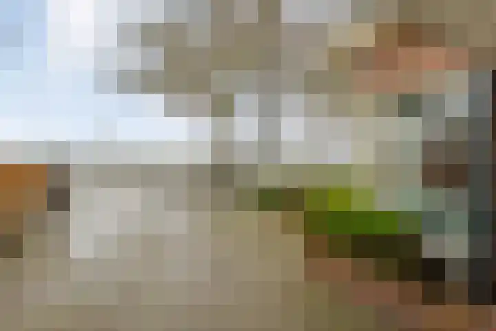 Waterlelie 11 Hardenberg thumbnail 4