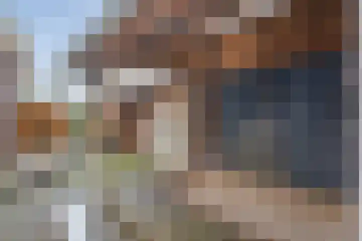 Waterlelie 11 Hardenberg thumbnail 42