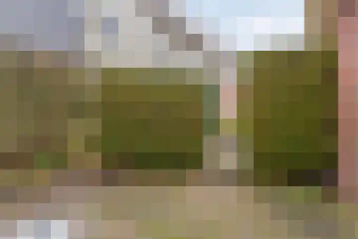 Waterlelie 11 Hardenberg thumbnail 45
