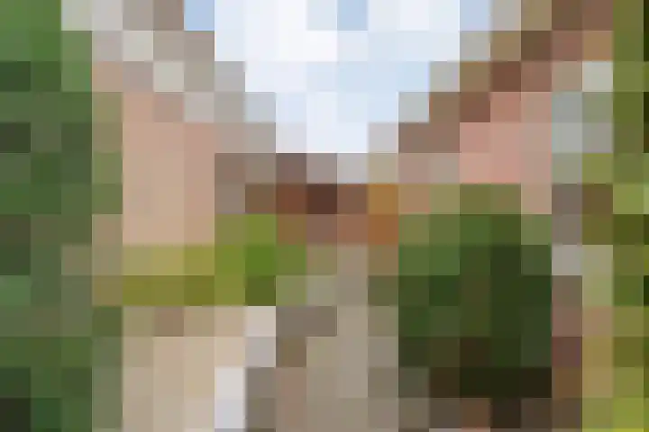Waterlelie 11 Hardenberg thumbnail 46