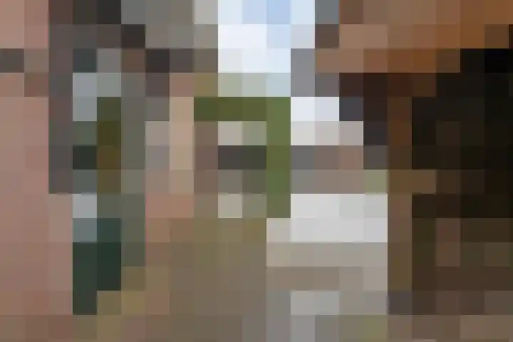 Waterlelie 11 Hardenberg thumbnail 48
