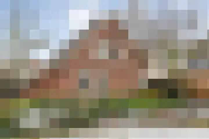 Waterlelie 11 Hardenberg thumbnail 51