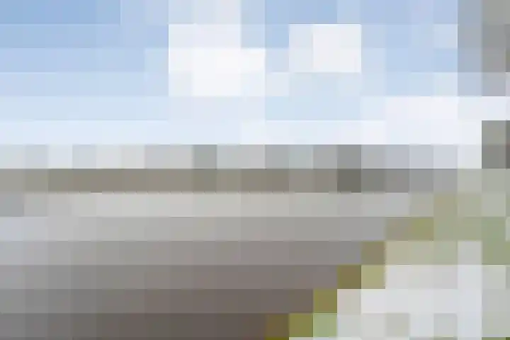 Waterlelie 11 Hardenberg thumbnail 55