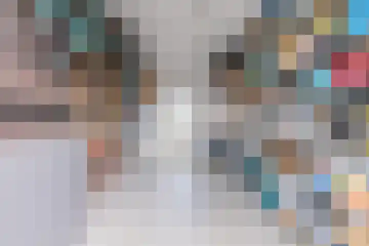 Waterlelie 13 Angerlo thumbnail 10