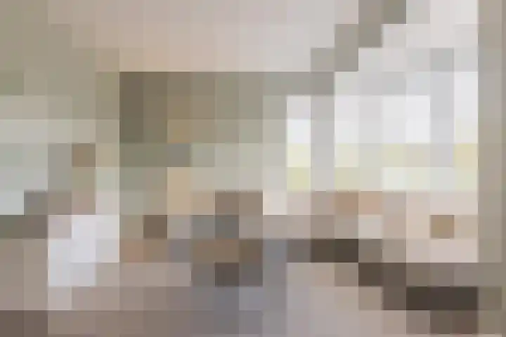 Waterlelie 13 Angerlo thumbnail 16