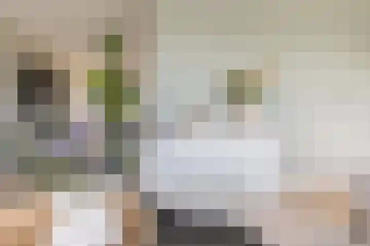 Waterlelie 13 Angerlo thumbnail 19