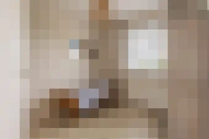 Waterlelie 13 Angerlo thumbnail 45