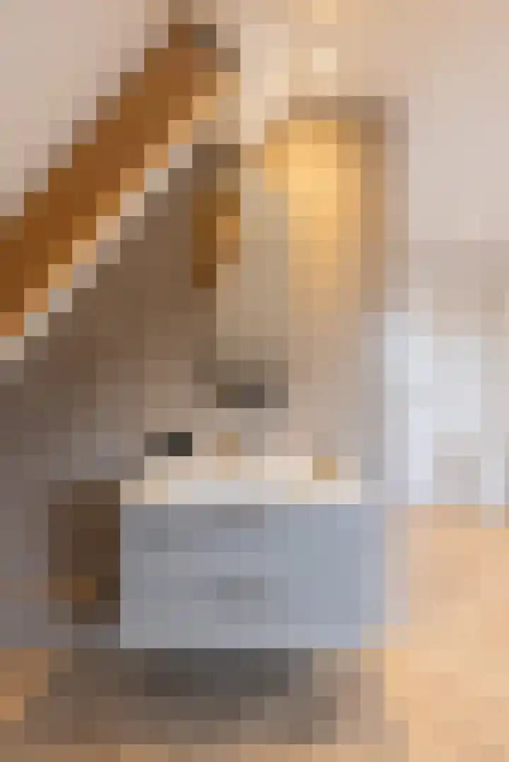 Waterlelie 13 Angerlo thumbnail 57
