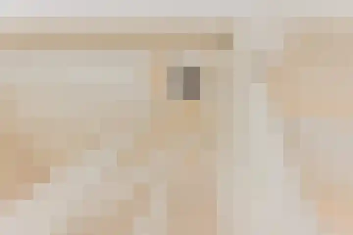 Waterlelie 13 Angerlo thumbnail 60