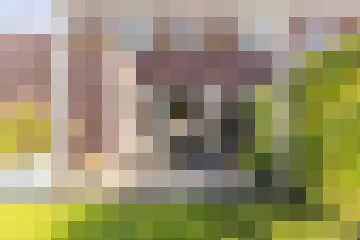 Waterlelie 13 Angerlo thumbnail 62