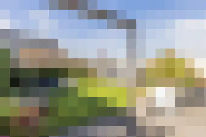 Waterlelie 13 Angerlo thumbnail 63