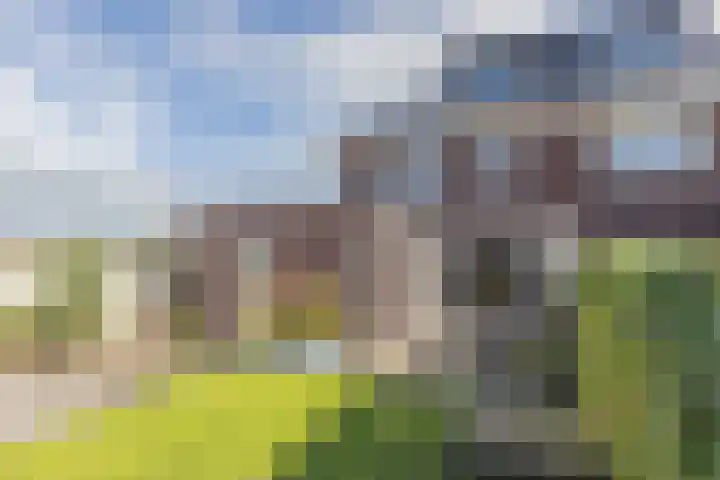 Waterlelie 13 Angerlo thumbnail 67