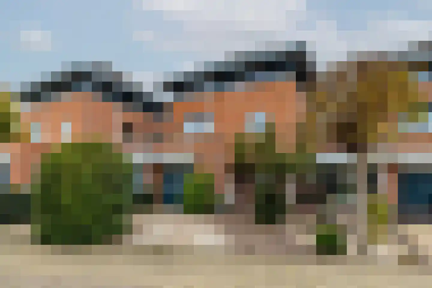 Waterlelie 14 in Heerjansdam