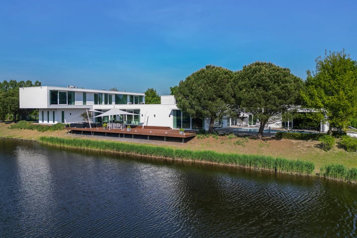 Waterlelie 15 in Terneuzen foto