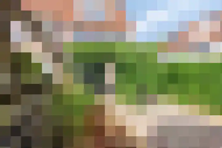Waterlelie 15 Kockengen thumbnail 25