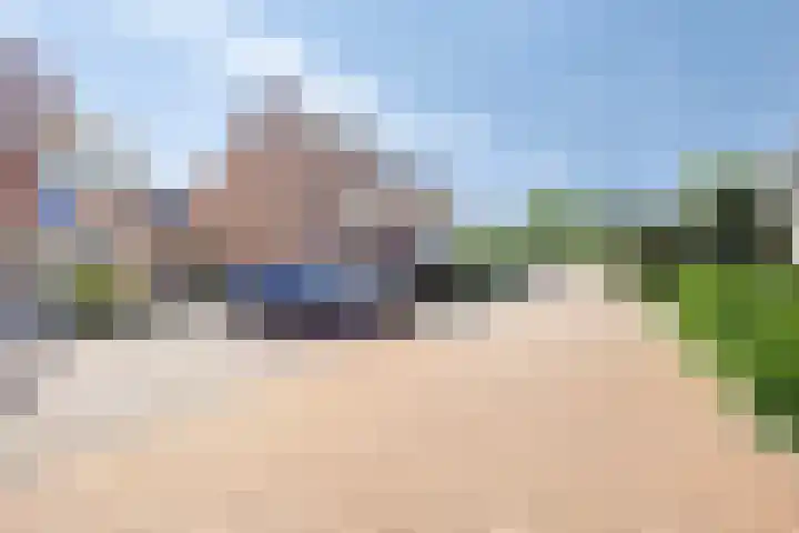 Waterlelie 15 Kockengen thumbnail 28