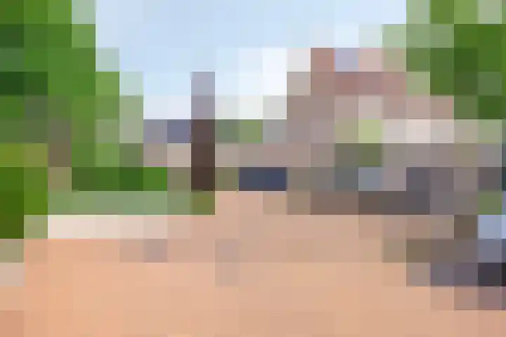 Waterlelie 15 Kockengen thumbnail 29
