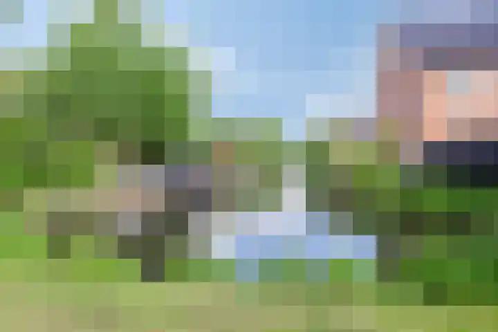 Waterlelie 15 Kockengen thumbnail 30