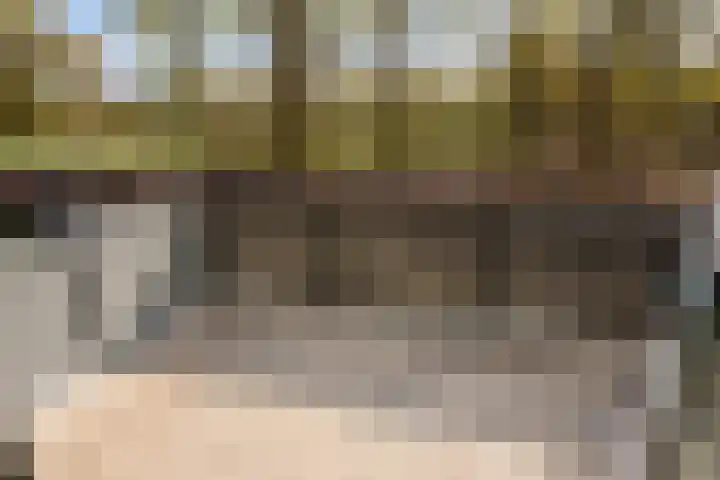 Waterlelie 23 Winkel thumbnail 25