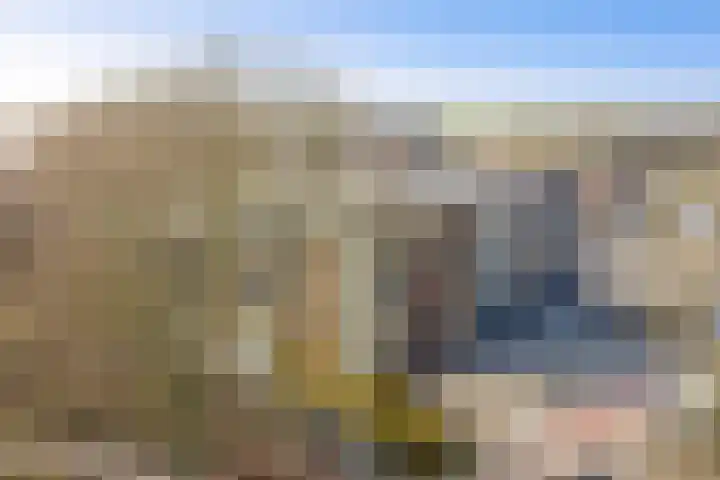 Waterlelie 23 Winkel thumbnail 27