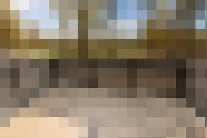 Waterlelie 23 Winkel thumbnail 6