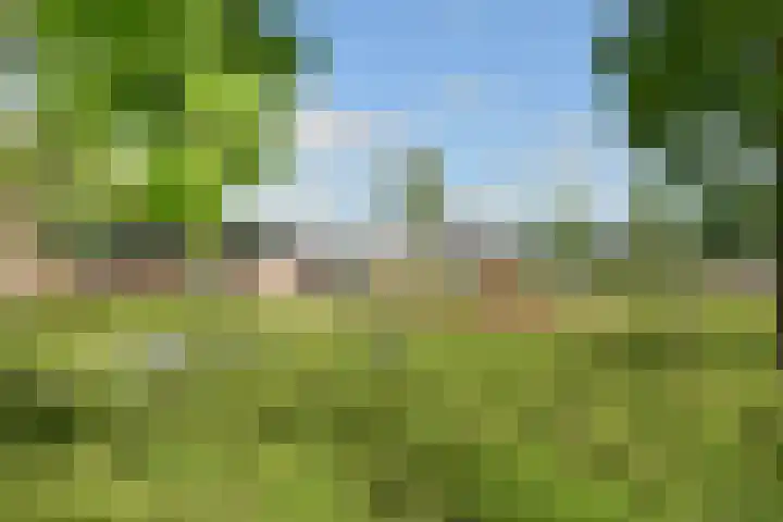 Waterlinie 54 Steenbergen thumbnail 21