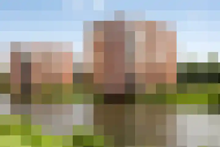 Waterlinze 82 Hellevoetsluis thumbnail 21