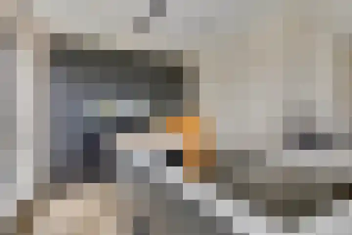 Waterlinze 82 Hellevoetsluis thumbnail 9