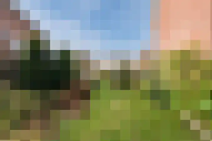 Waterloo 1 Valthe thumbnail 76
